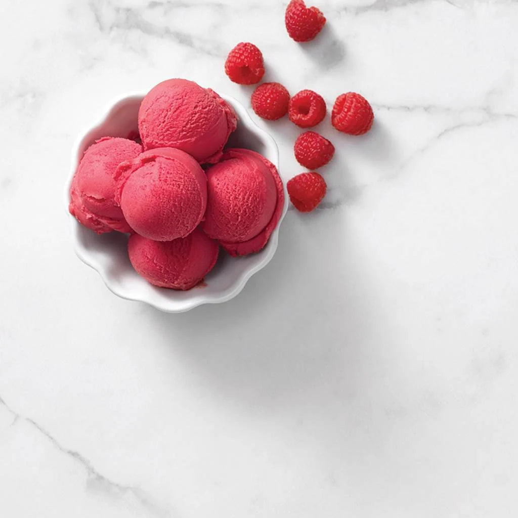 Sorbetière RICARDO - Ricardo - Sorbetière et turbine à glace - - La Guilde Culinaire