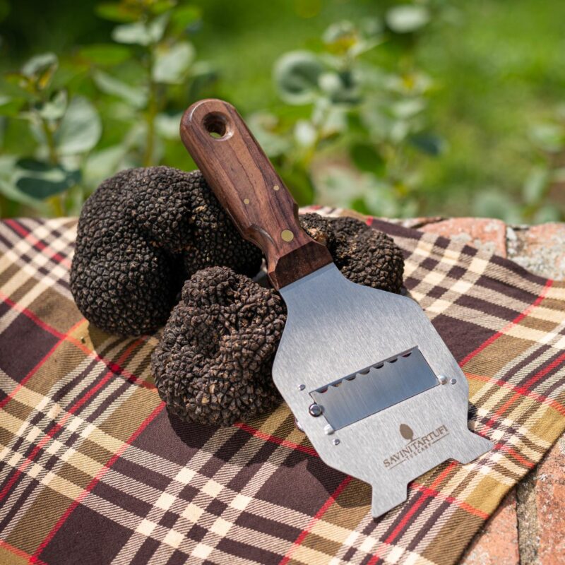 Râpe à truffe en acier inoxydable, manche en bois de rose