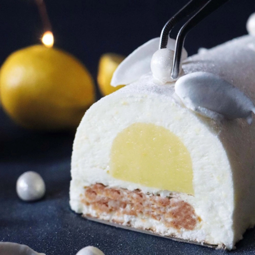 2 moules à insert pour bûche - Scrapcooking - Moule à bûche - - La Guilde Culinaire