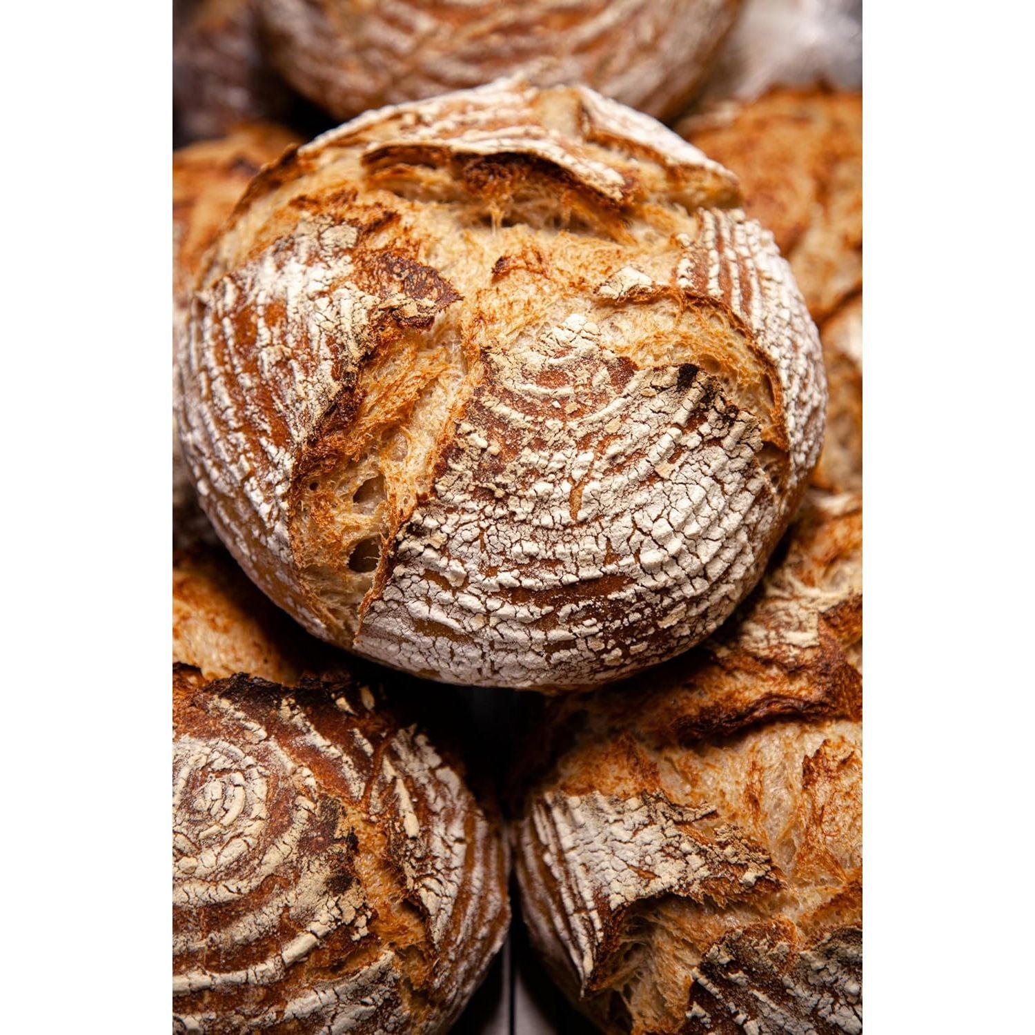 Lame à pain - Fox Run - Accessoire - - La Guilde Culinaire