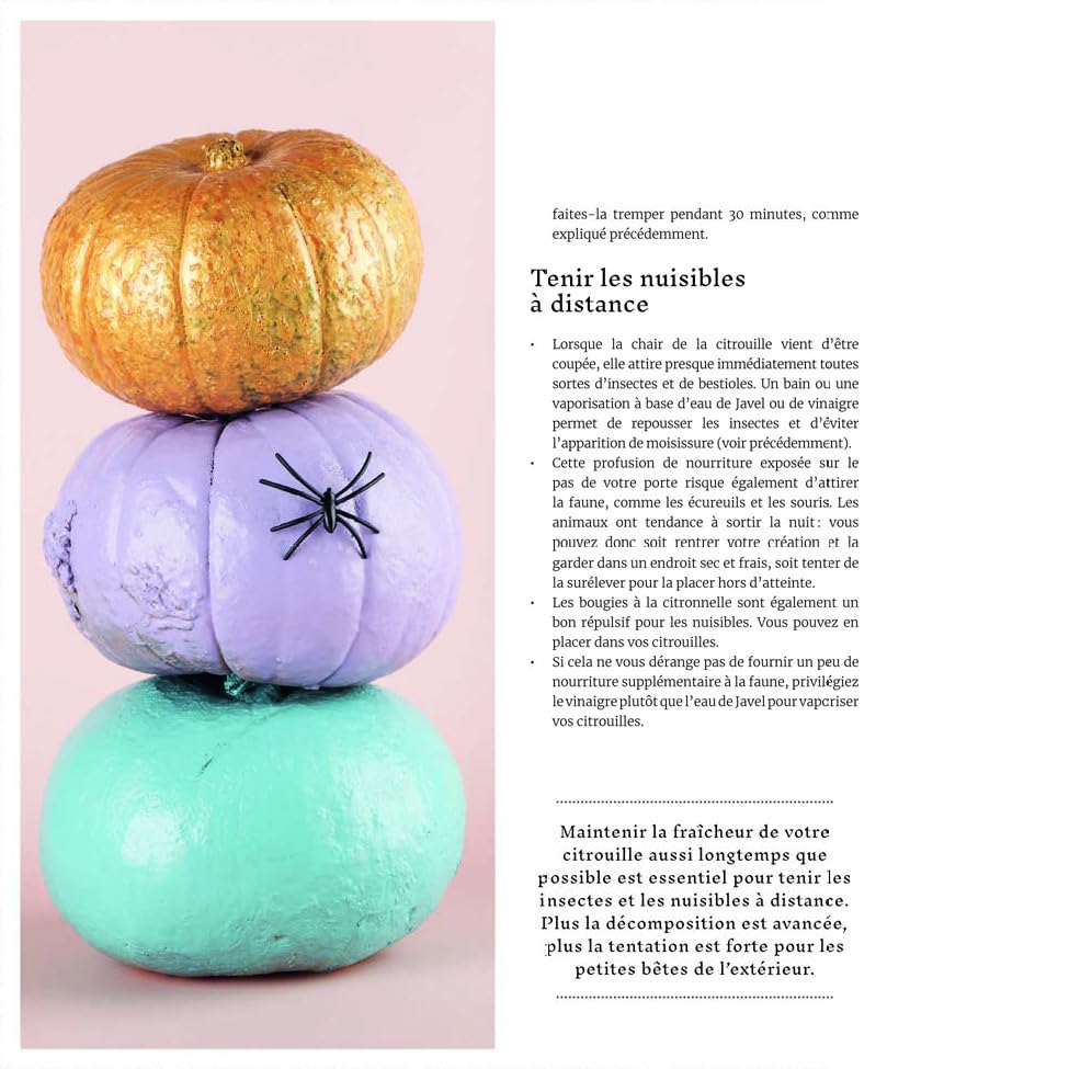 Inspiration citrouille ! - De L'Homme Ed. - Livre de cuisine - - La Guilde Culinaire