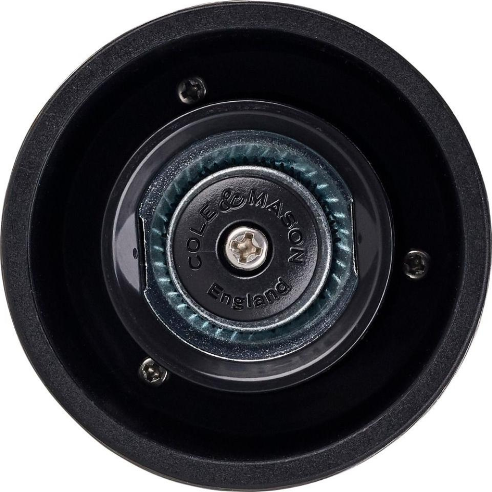 Moulin à poivre en acrylique et bois de forêt Derwent 19 cm - Cole & Mason - Cole & Mason - Moulin à poivre - - La Guilde Culinaire