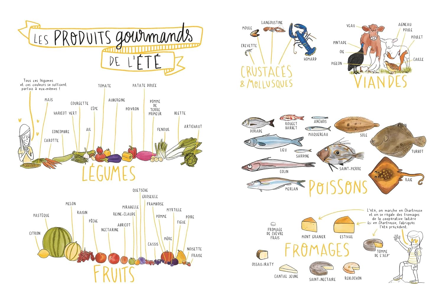Les 4 saisons du vin ! - Hachette Ed. - Livre d'alcool et boisson - - La Guilde Culinaire
