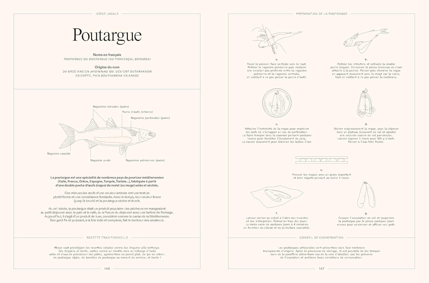 Fish : Cuisiner le poisson de Marseille à Tokyo - Chêne - Livre de cuisine - - La Guilde Culinaire