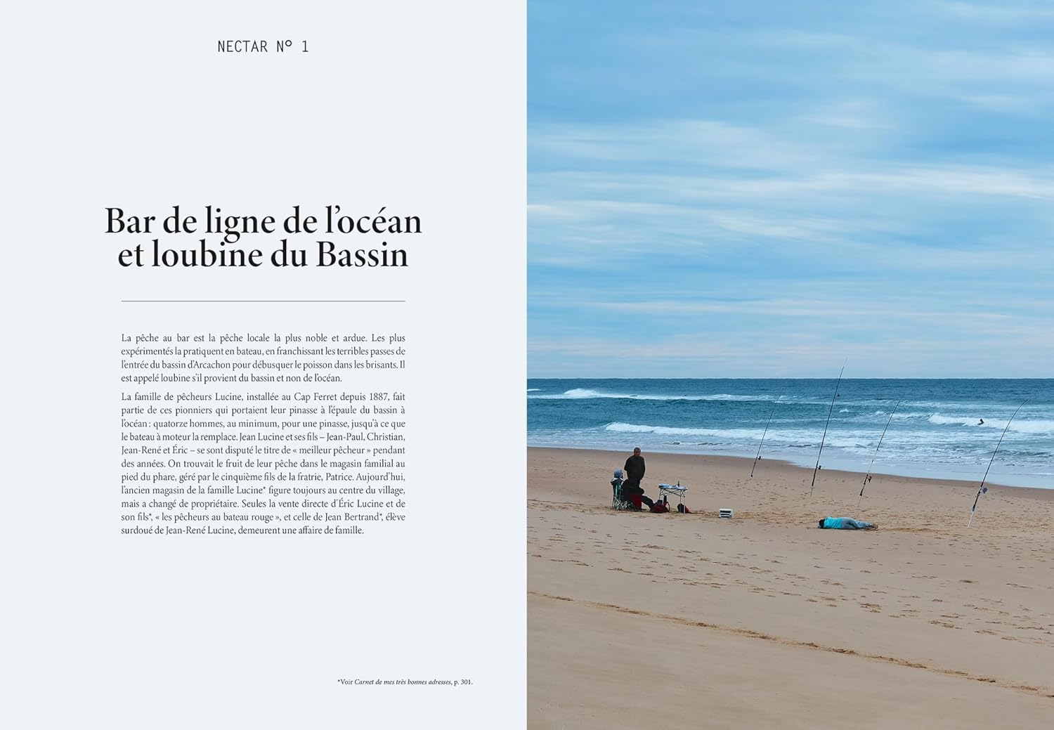 L'été gourmand au Cap Ferret - Hachette Ed. - Livre de cuisine - - La Guilde Culinaire