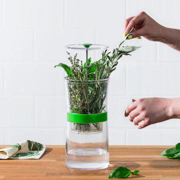 Contenant à herbes fraîches Herb Keepr - Cuisipro - Contenant à herbes fraîches - - La Guilde Culinaire