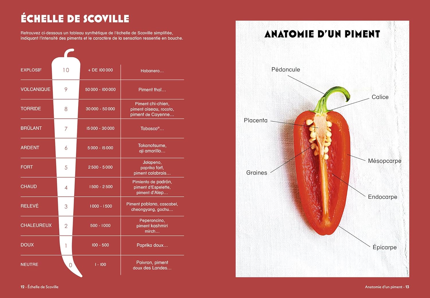 Piments - Hachette Ed. - Livre de cuisine - - La Guilde Culinaire