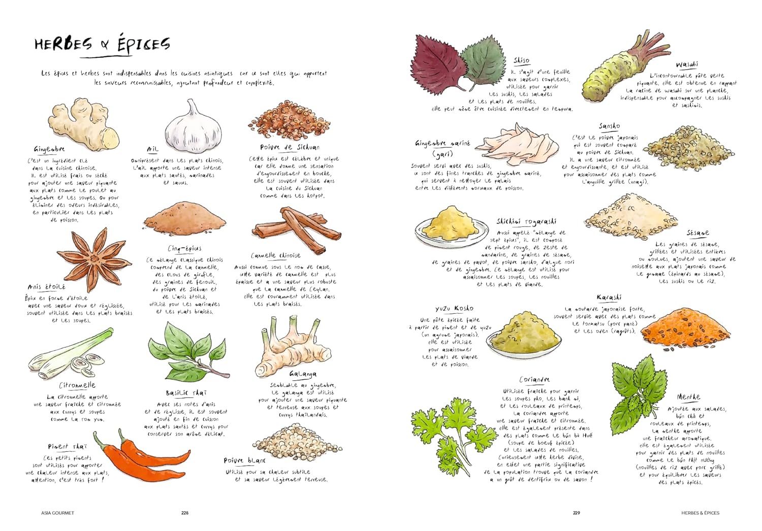 Asia Gourmet ! - Hachette Ed. - Livre de cuisine - - La Guilde Culinaire