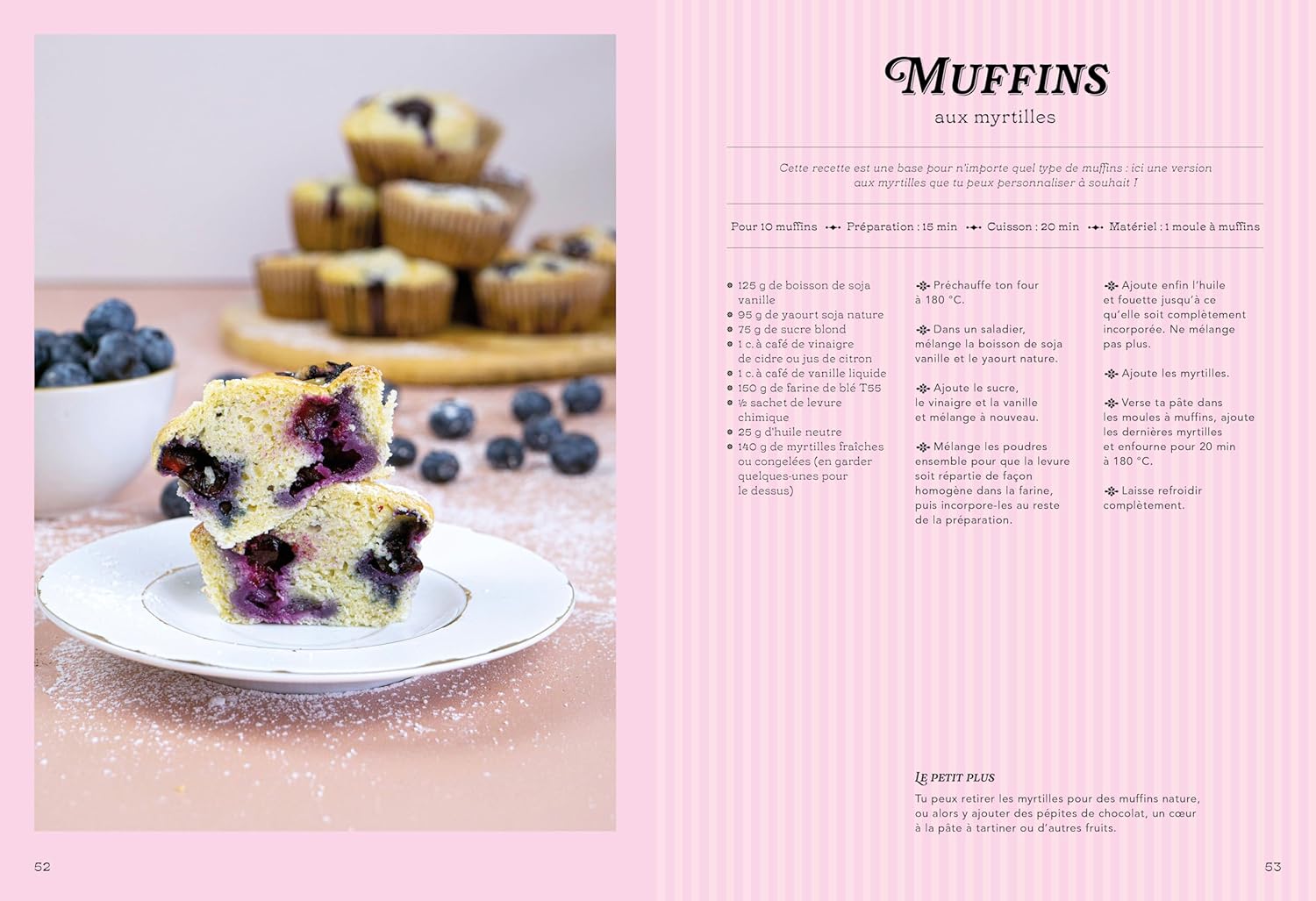 Le Grand Livre des Gâteaux de Famille - La Plage Ed. - Livre de cuisine - - La Guilde Culinaire