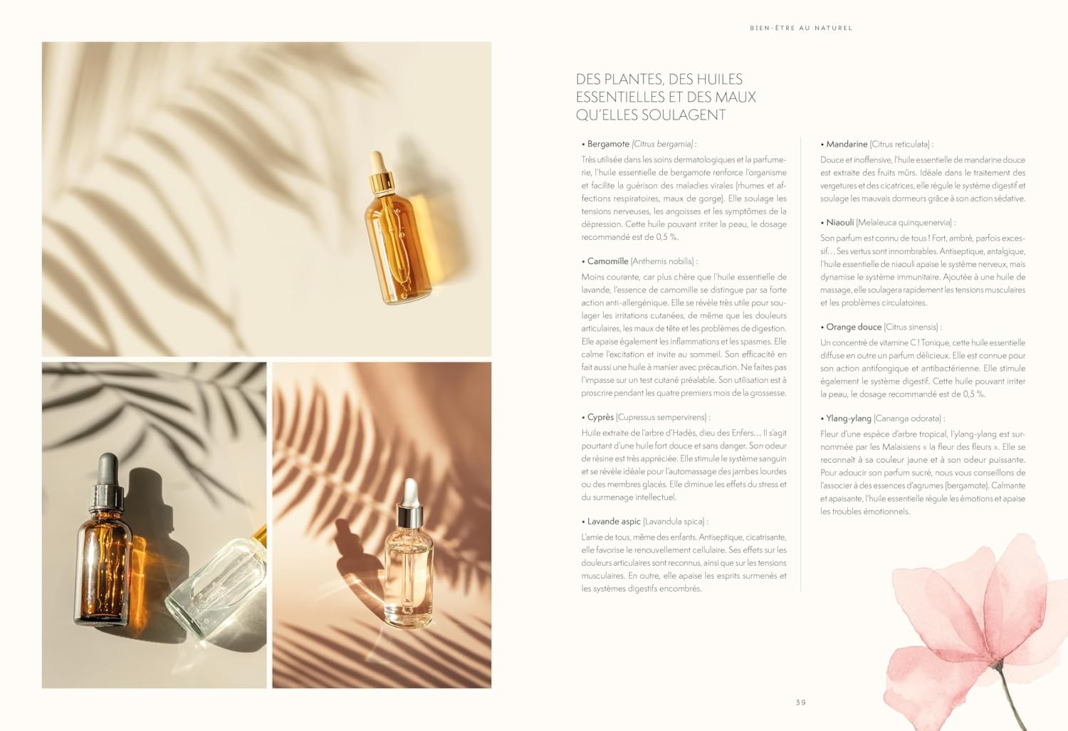 L'art des massages du monde - La Plage Ed. - Livre - - La Guilde Culinaire