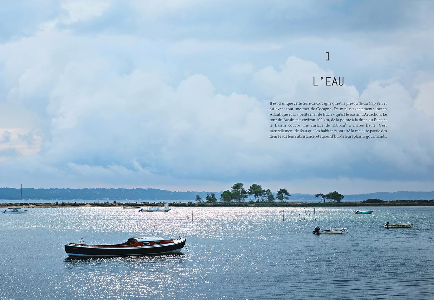 L'été gourmand au Cap Ferret - Hachette Ed. - Livre de cuisine - - La Guilde Culinaire