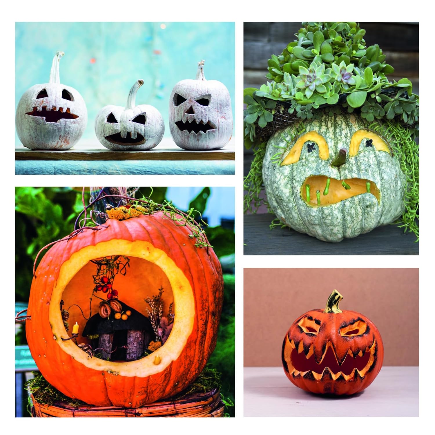 Inspiration citrouille ! - De L'Homme Ed. - Livre de cuisine - - La Guilde Culinaire