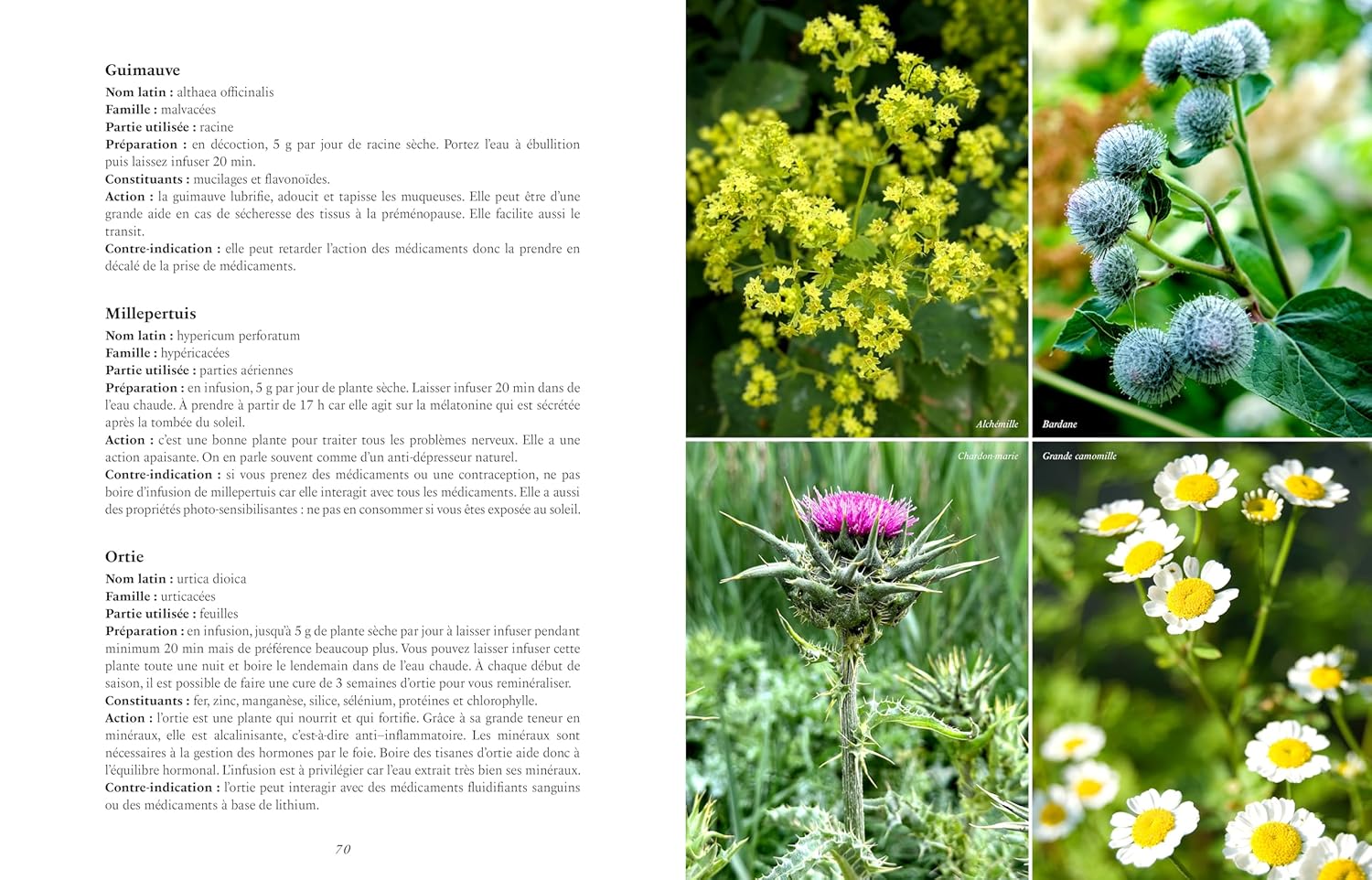 Assiettes idéales pour une ménopause au naturel - La Plage Ed. - Livre de cuisine - - La Guilde Culinaire