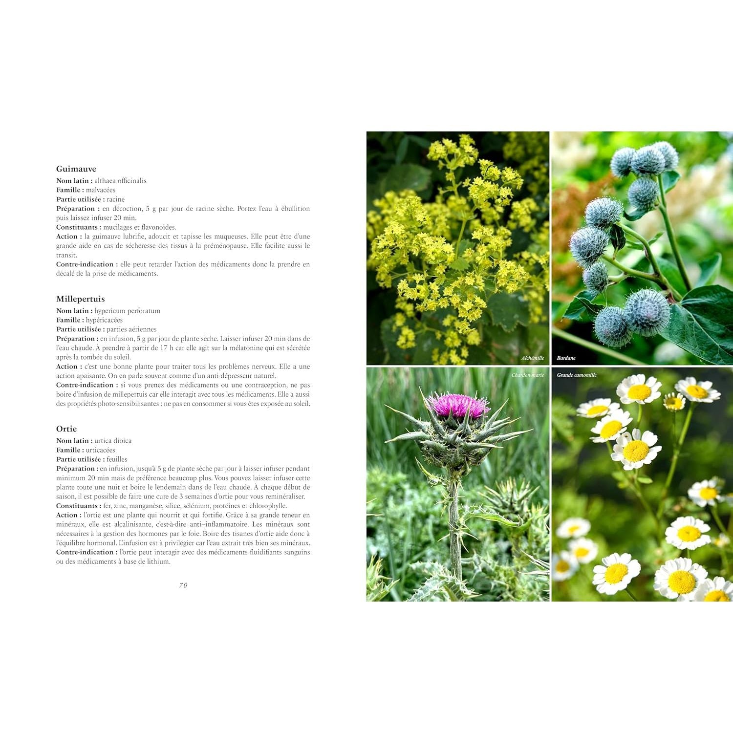 Assiettes idéales pour une ménopause au naturel - La Plage Ed. - Livre de cuisine - - La Guilde Culinaire