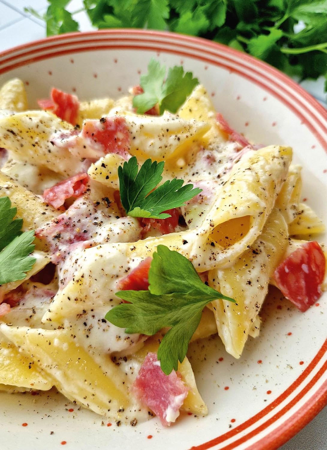 Les pâtes, c'est vraiment la vie - Kennes - Livre de cuisine - - La Guilde Culinaire