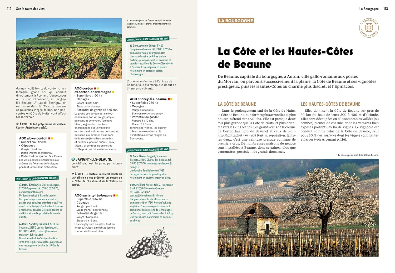 Sur la route des vins: Le guide de l'œnotourisme en France - Hachette Ed. - Livre d'alcool et boisson - - La Guilde Culinaire