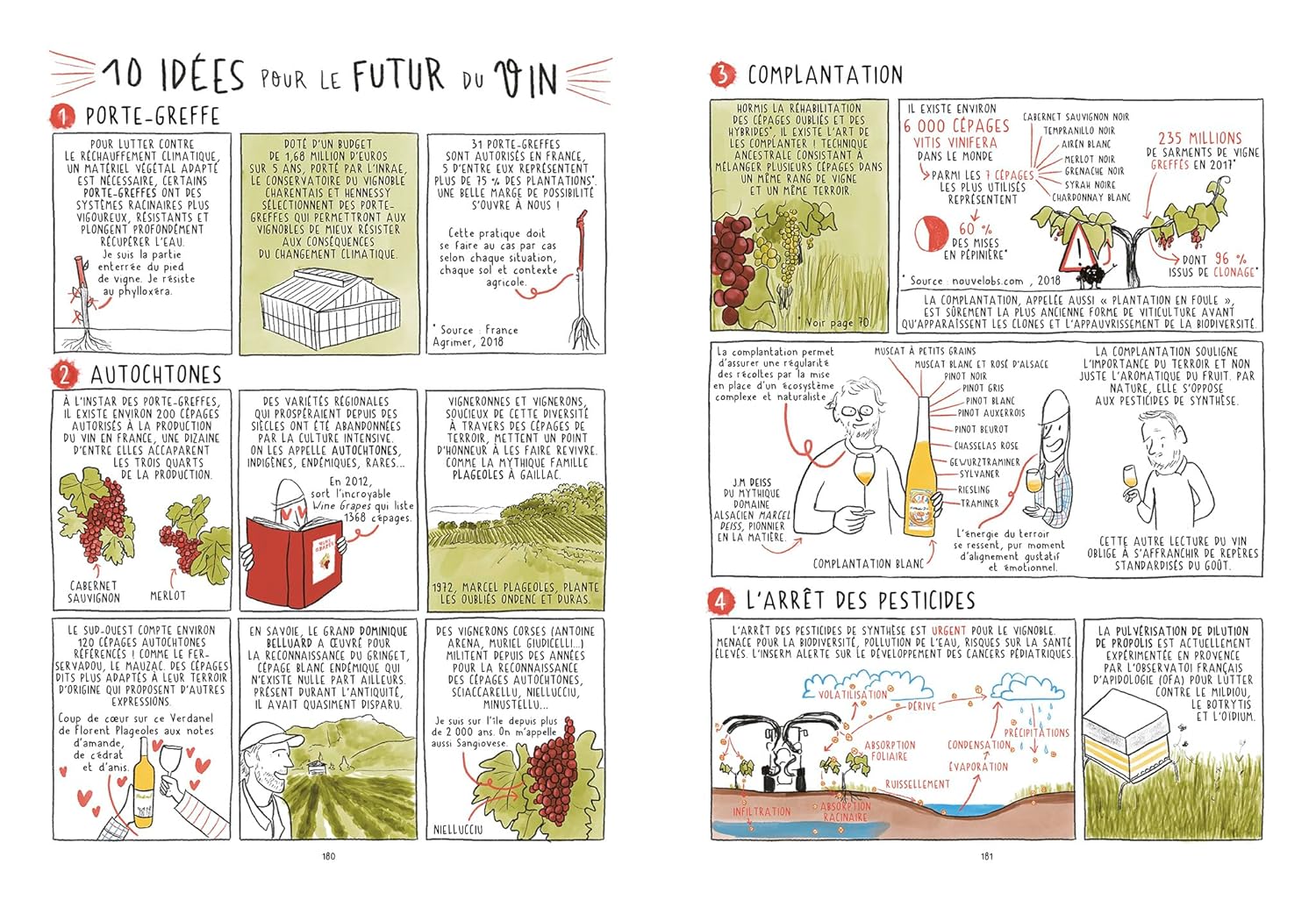 Les 4 saisons du vin ! - Hachette Ed. - Livre d'alcool et boisson - - La Guilde Culinaire