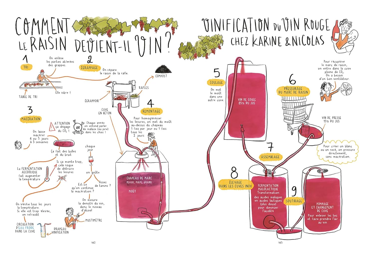 Les 4 saisons du vin ! - Hachette Ed. - Livre d'alcool et boisson - - La Guilde Culinaire