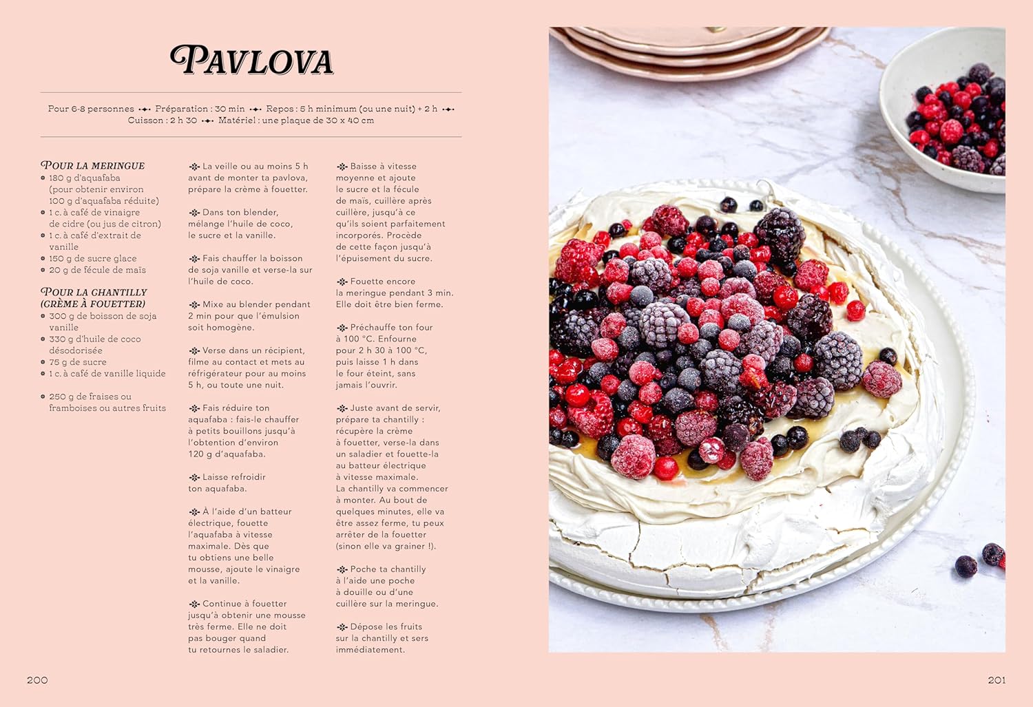 Le Grand Livre des Gâteaux de Famille - La Plage Ed. - Livre de cuisine - - La Guilde Culinaire