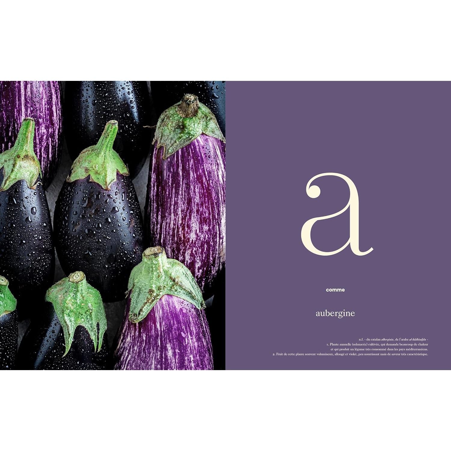 Obsessions végétales - Hachette Ed. - Livre de cuisine - - La Guilde Culinaire