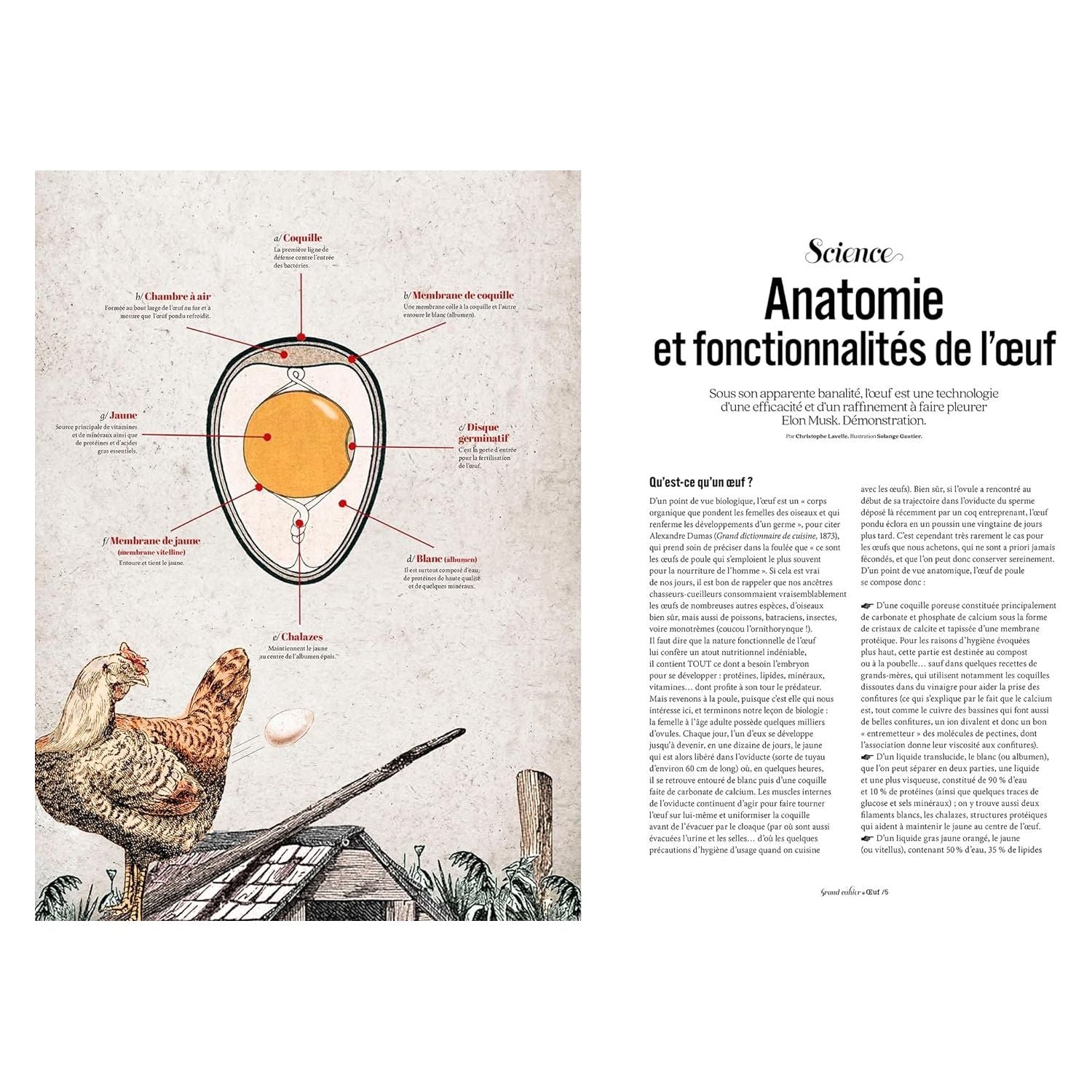 Oeuf - Hachette Ed. - Livre de cuisine - - La Guilde Culinaire