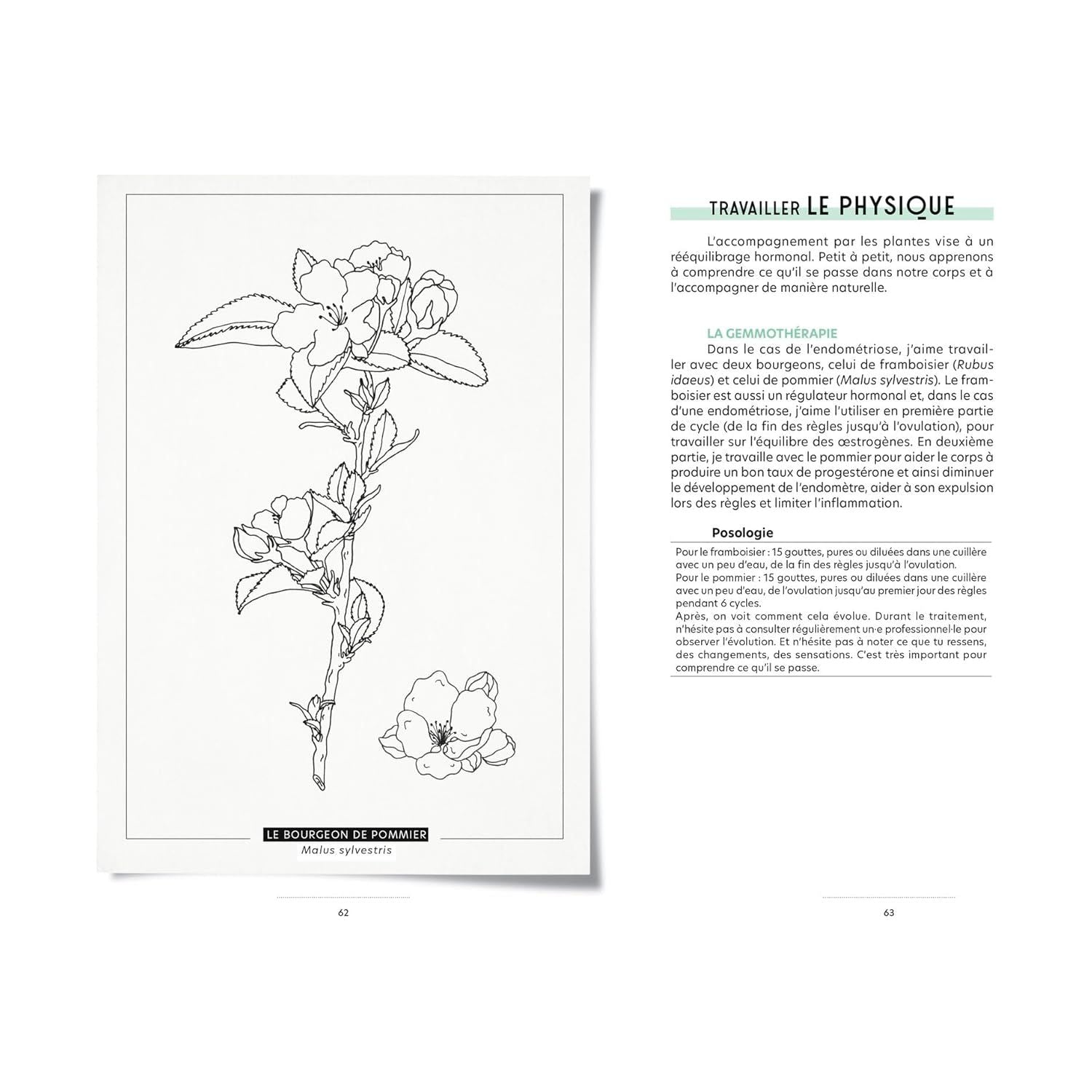 Plantes puissantes: L'herboristerie du cycle menstruel ! - Hachette Ed. - Livre de cuisine - - La Guilde Culinaire