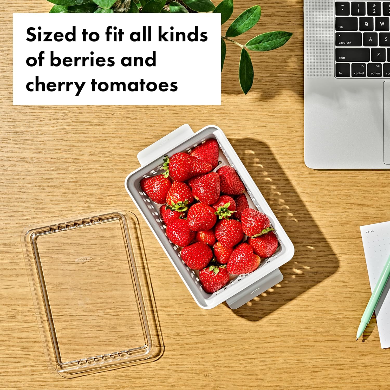 Boîte de conservation pour baies - jeu de 2 - OXO - Contenant pour aliment - - La Guilde Culinaire