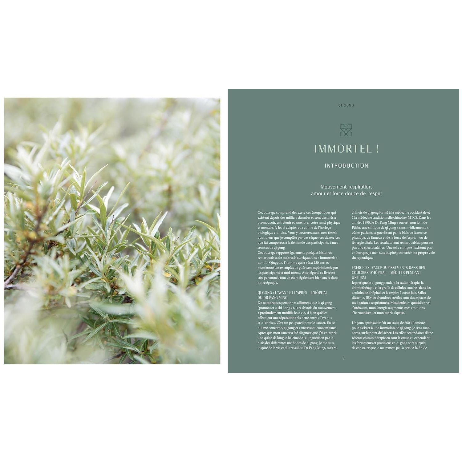 Qi Gong: Renforcez votre énergie vitale - Hachette Ed. - Livre de cuisine - - La Guilde Culinaire