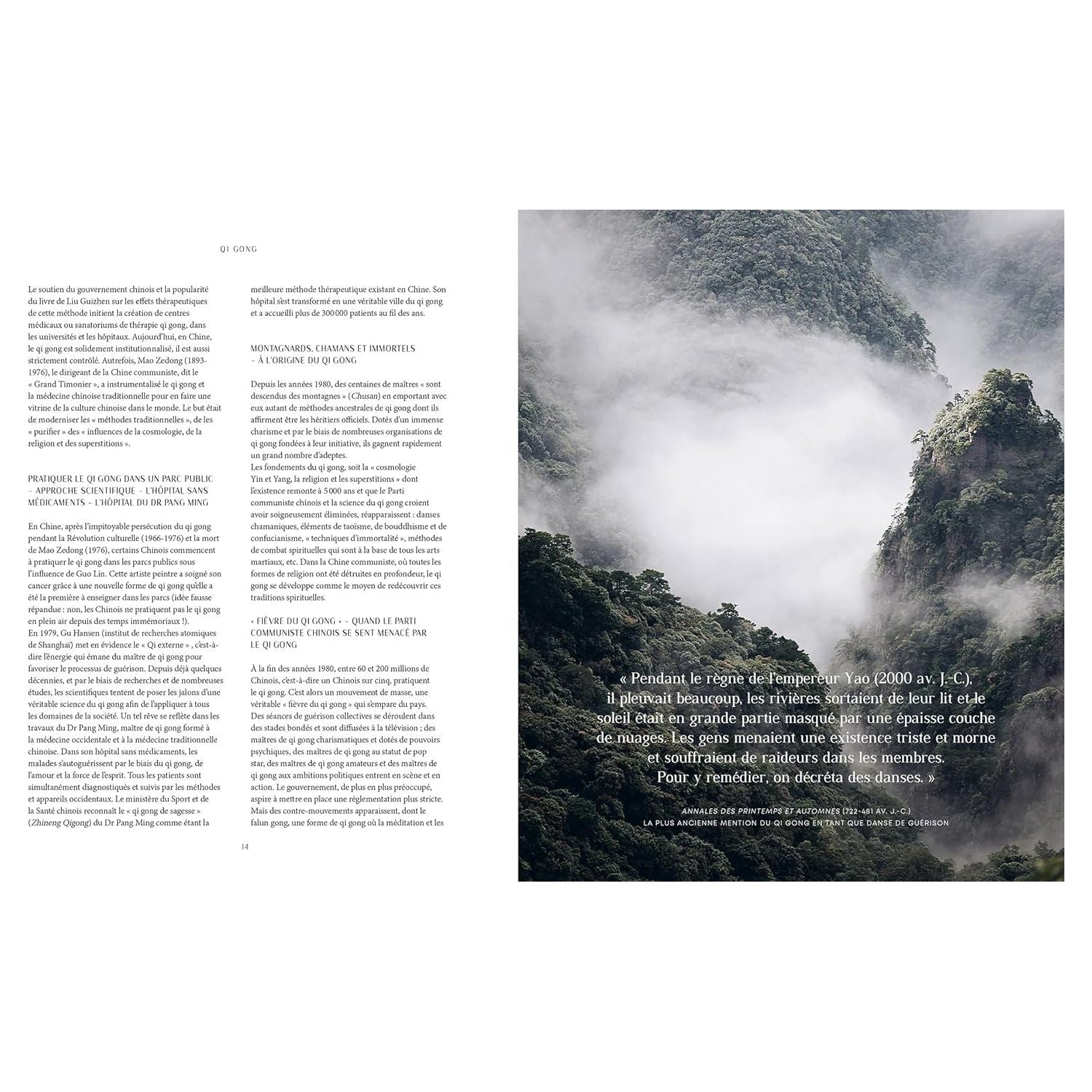 Qi Gong: Renforcez votre énergie vitale - Hachette Ed. - Livre de cuisine - - La Guilde Culinaire