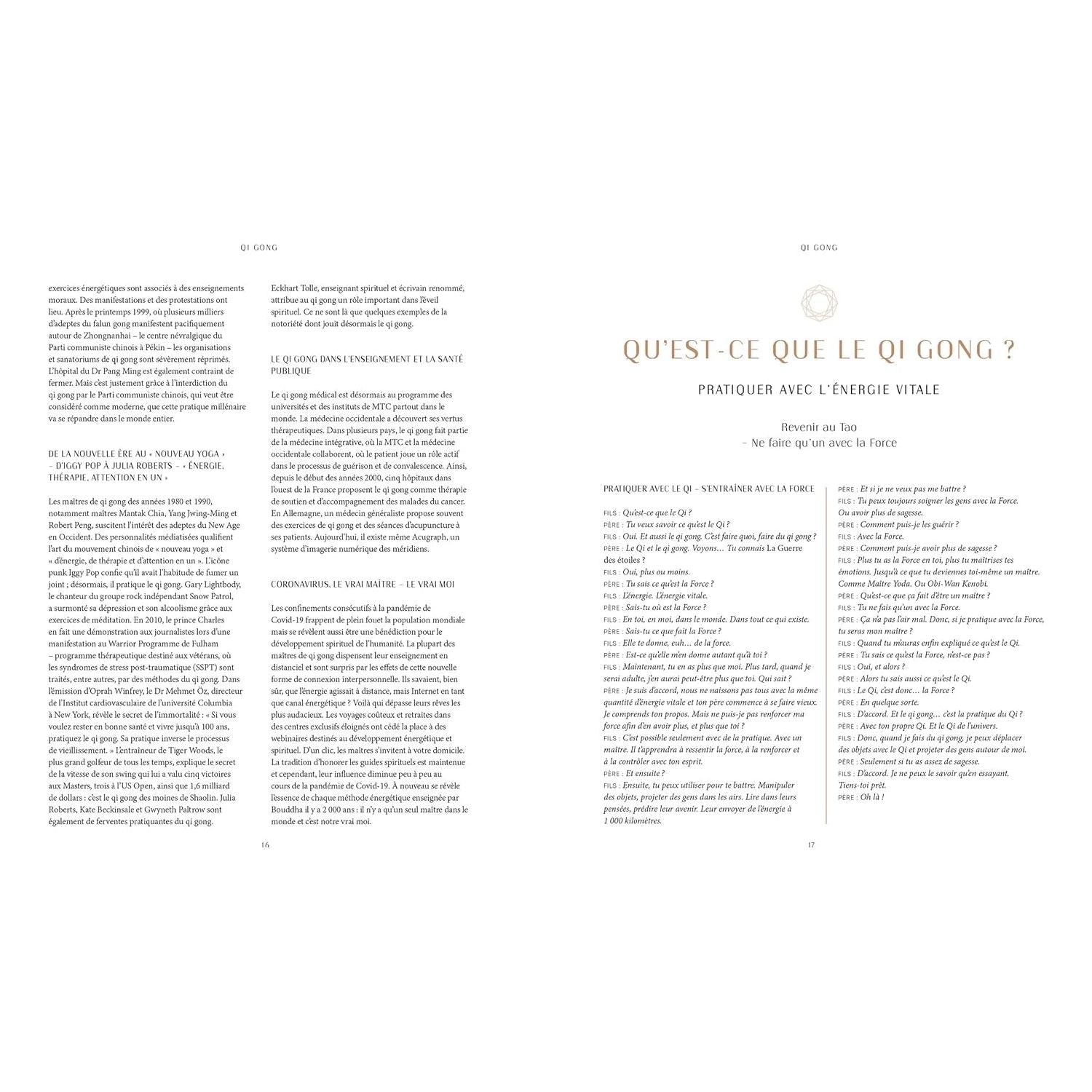 Qi Gong: Renforcez votre énergie vitale - Hachette Ed. - Livre de cuisine - - La Guilde Culinaire