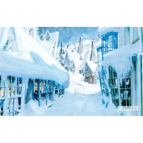 Harry Potter - Recettes de fêtes - Hachette Ed. - Livre de cuisine - - La Guilde Culinaire