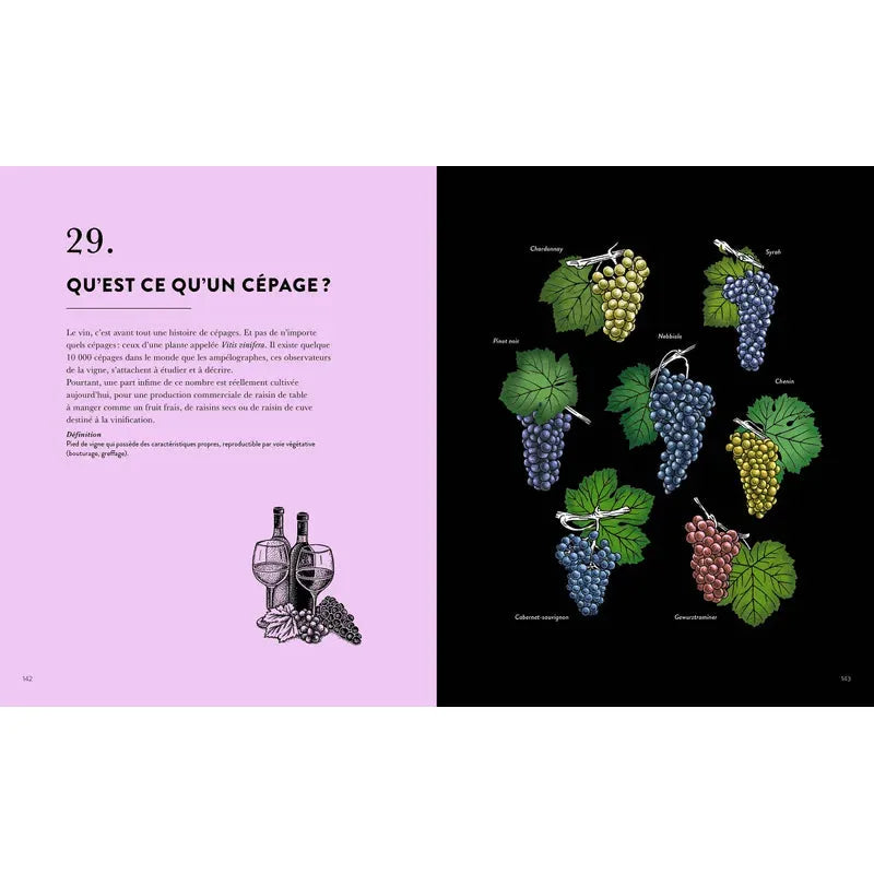 Le Vin en 50 questions ! - Hachette Ed. - Livre d'alcool et boisson - - La Guilde Culinaire