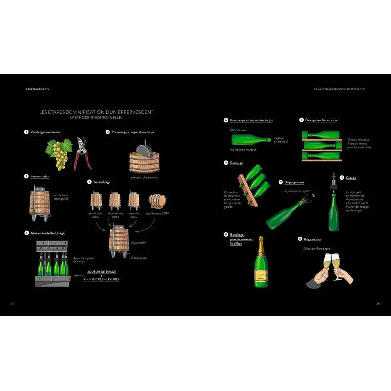 Le Vin en 50 questions ! - Hachette Ed. - Livre d'alcool et boisson - - La Guilde Culinaire