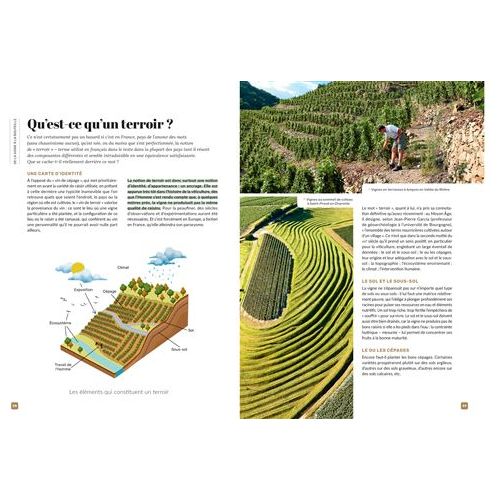 Vin/20 - Larousse Ed. - Livre d'alcool et boisson - - La Guilde Culinaire