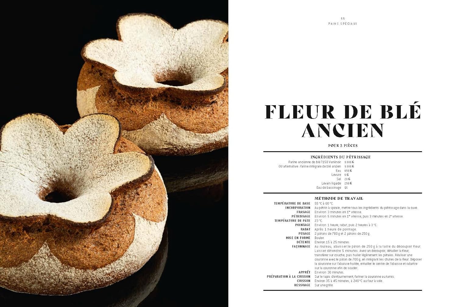Le Grand Livre de la Boulangerie - Viennoiserie - L'intégrale en 200 recettes    - Ducasse Ed. - Livre de boulangerie - 