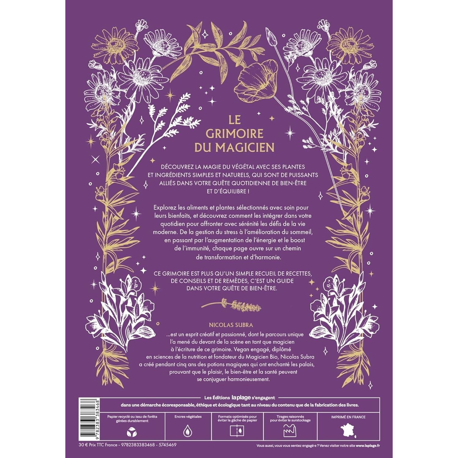 Le grimoire du magicien - La Plage Ed. - Livre de cuisine - - La Guilde Culinaire