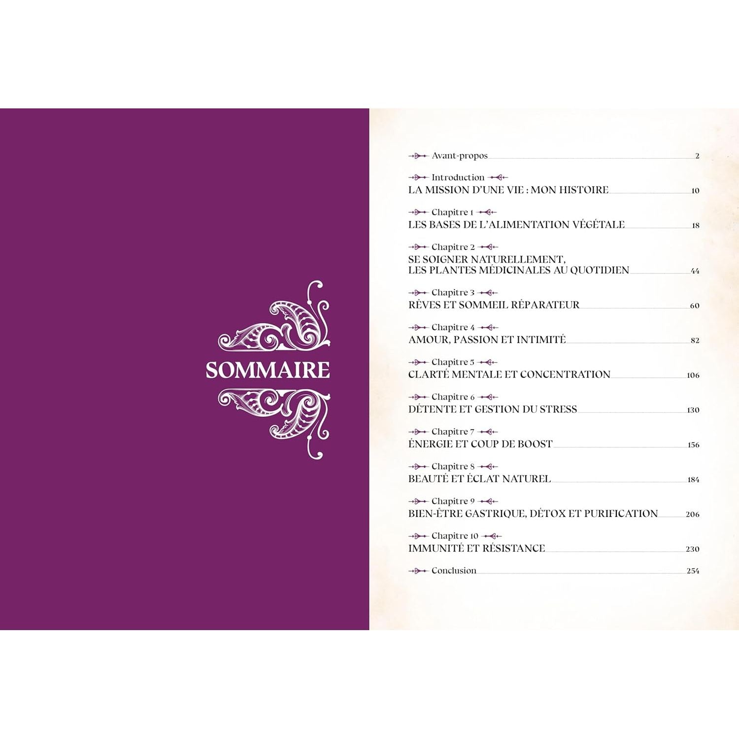 Le grimoire du magicien - La Plage Ed. - Livre de cuisine - - La Guilde Culinaire