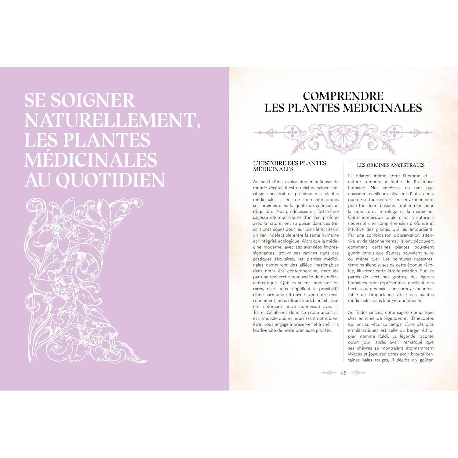 Le grimoire du magicien - La Plage Ed. - Livre de cuisine - - La Guilde Culinaire