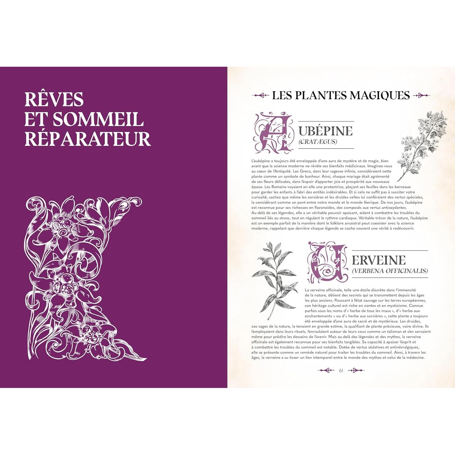 Le grimoire du magicien - La Plage Ed. - Livre de cuisine - - La Guilde Culinaire