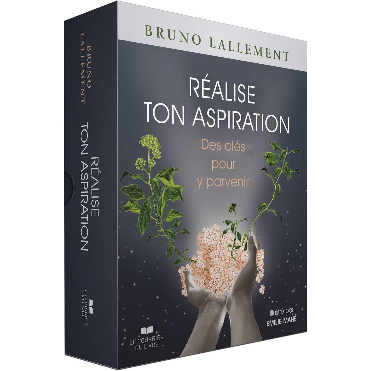 Réalise ton aspiration: des clefs pour y parvenir - Le Courrier du Livre - Livre de psychologie - - La Guilde Culinaire