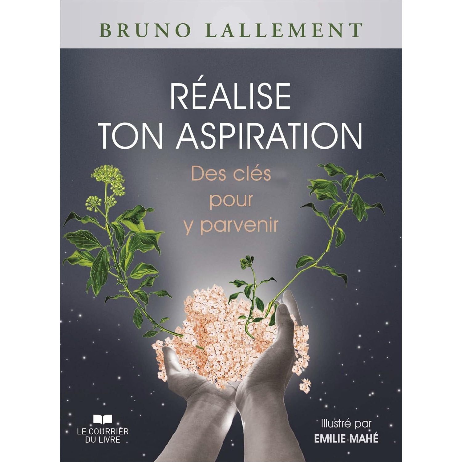 Réalise ton aspiration: des clefs pour y parvenir - Le Courrier du Livre - Livre de psychologie - - La Guilde Culinaire
