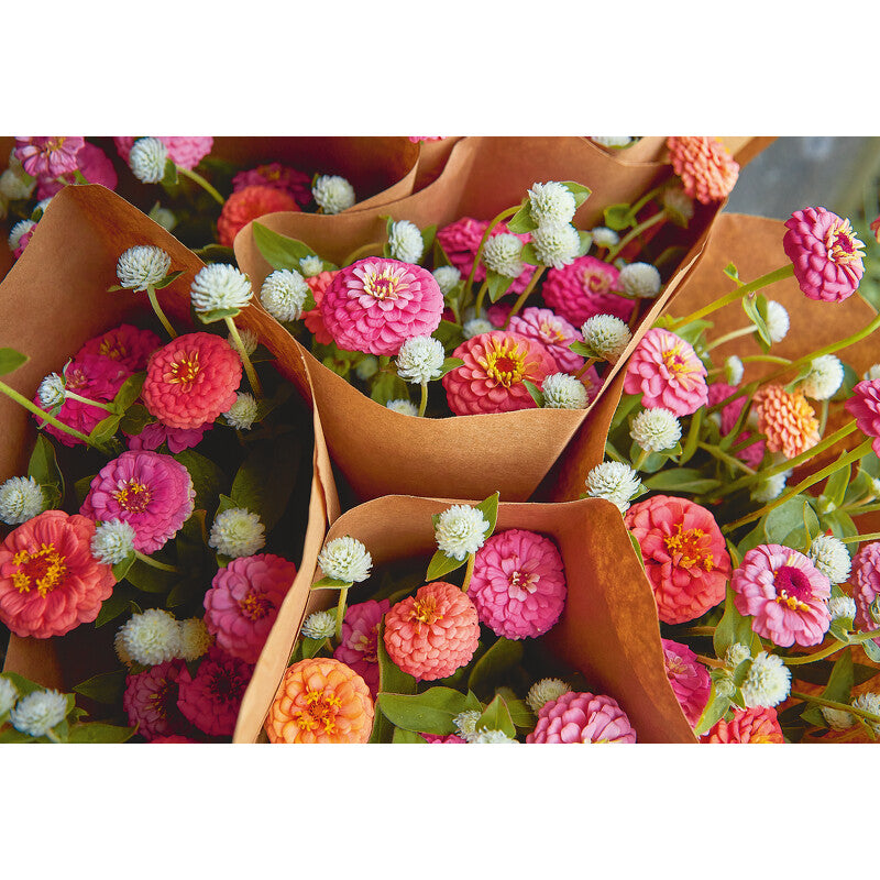 Floramama - Cardinal Ed. - Livre de cuisine - - La Guilde Culinaire