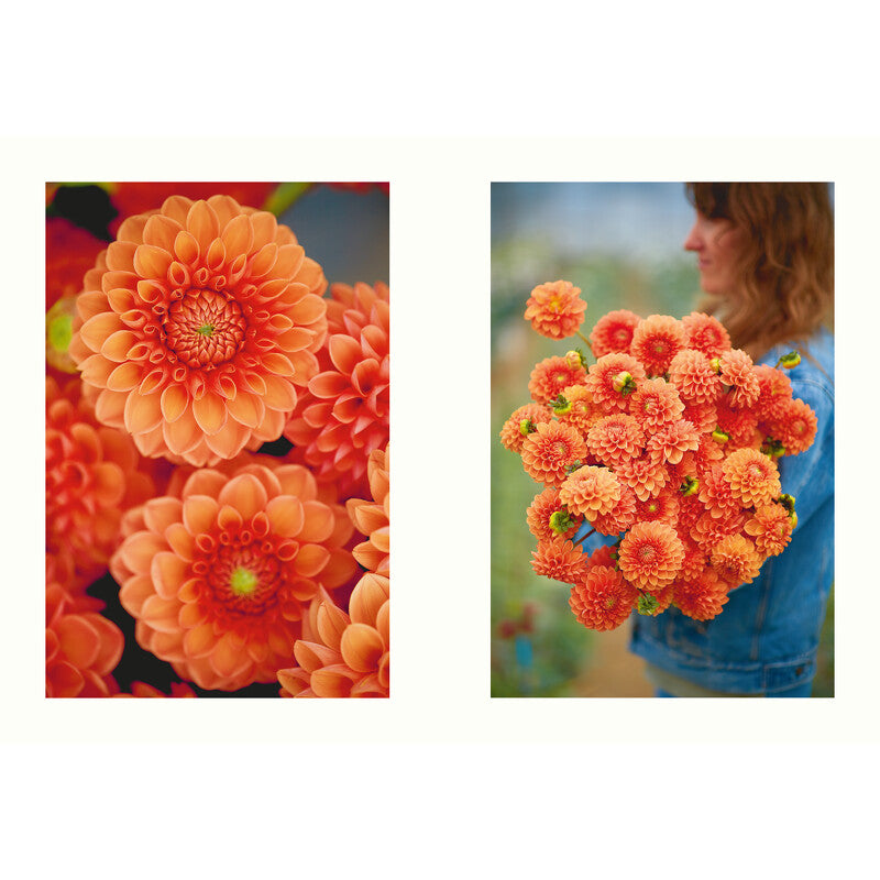 Floramama - Cardinal Ed. - Livre de cuisine - - La Guilde Culinaire