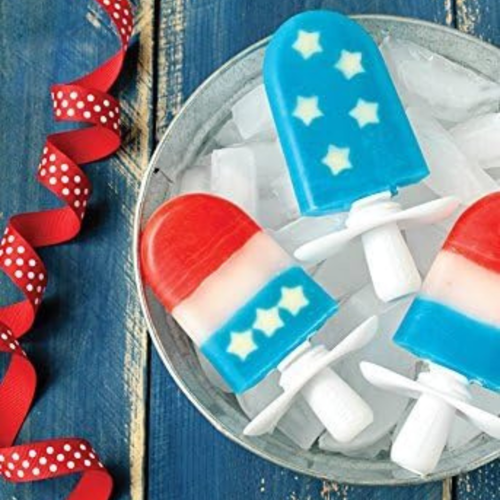 Boîte de rangement pour 6 sucettes glacées Zoku - Zoku - Appareil à glace et crème glacée - - La Guilde Culinaire