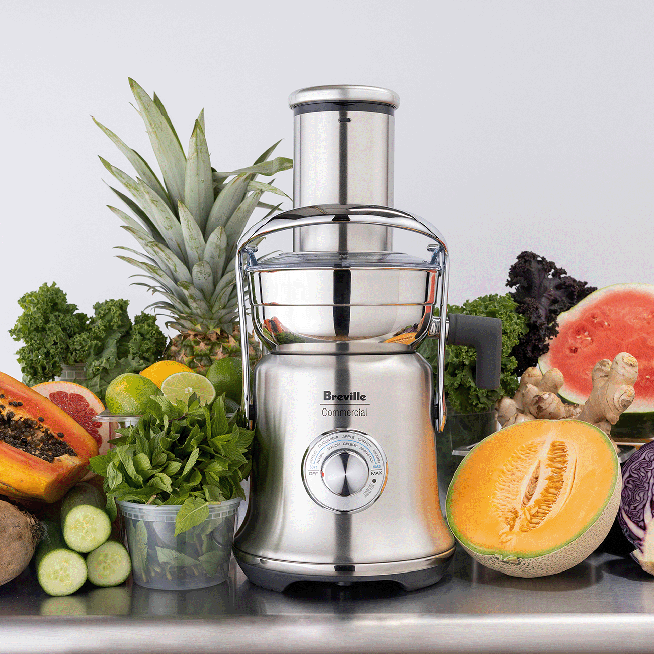Presse-agrumes The Juice Fountain XL Pro - Breville - Extracteur de jus - - La Guilde Culinaire