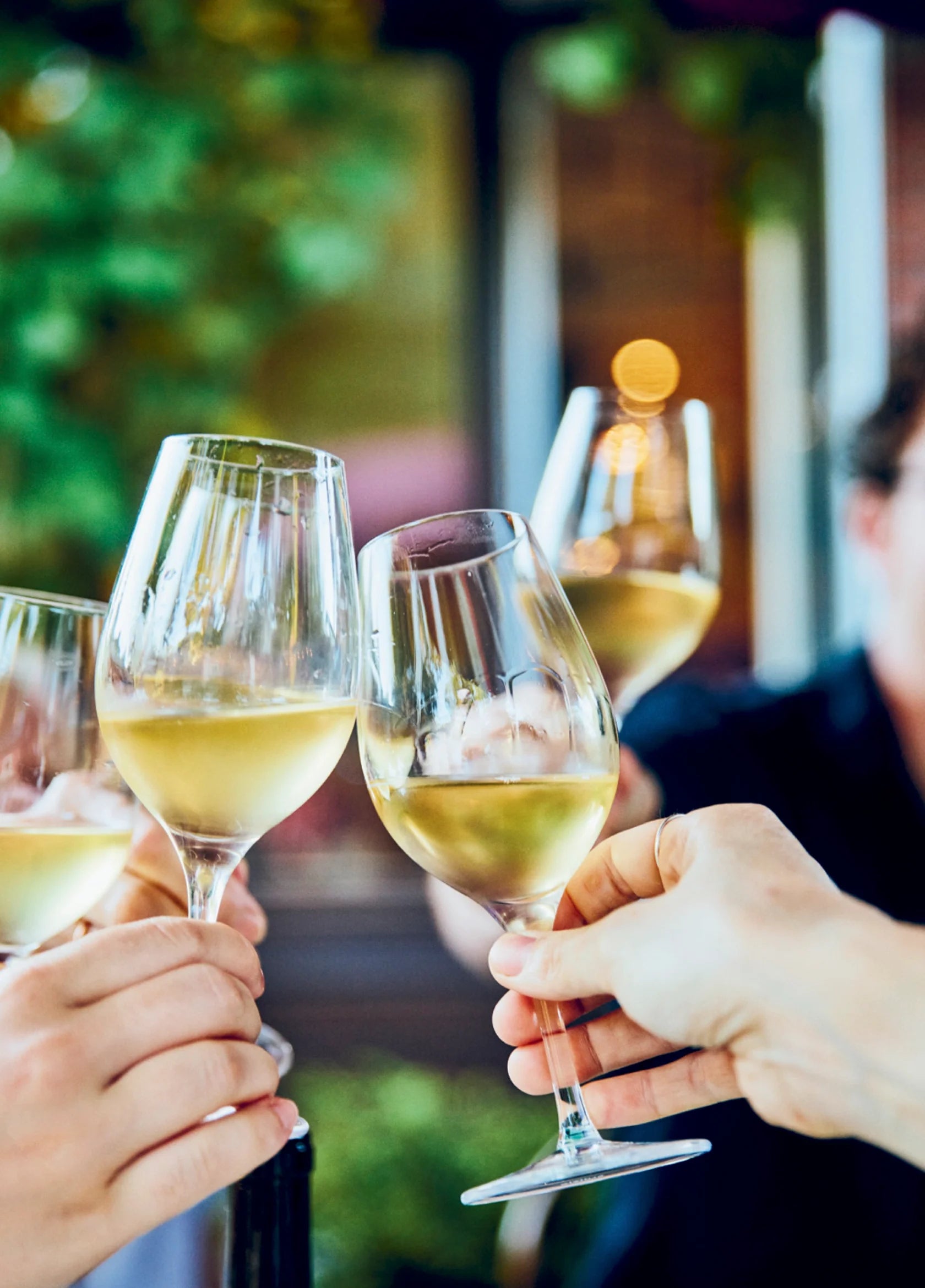 En accord — Cépages, recettes et prises de bec - Cardinal Ed. - Livre de cuisine - - La Guilde Culinaire