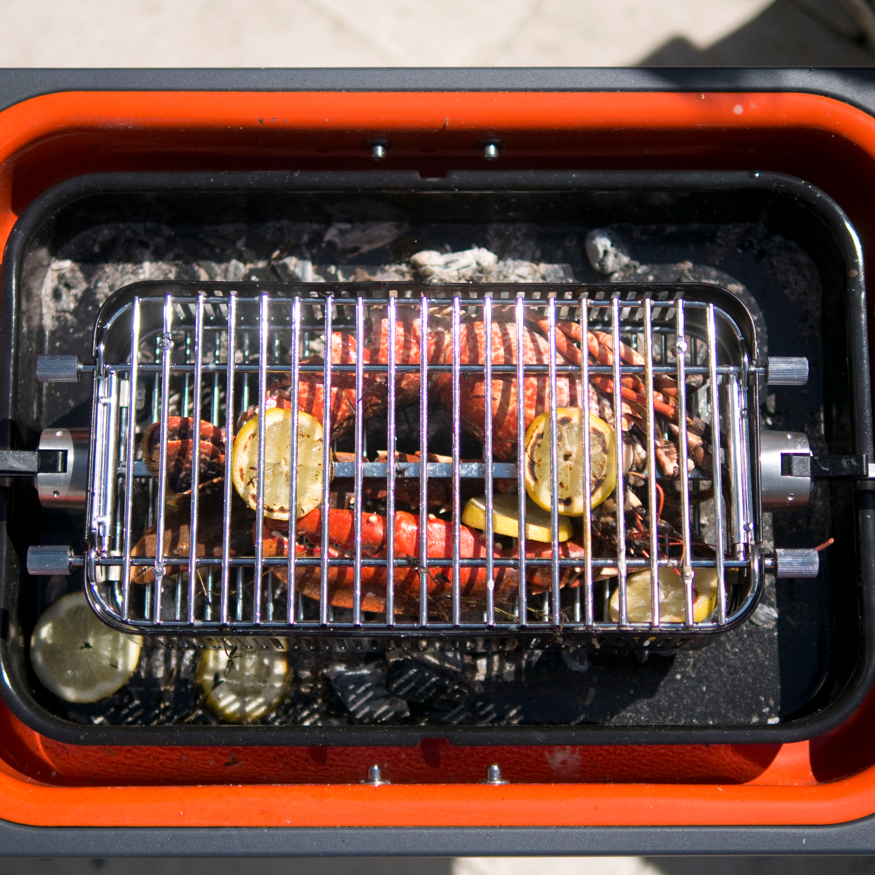 Cage de rôtissoire - Everdure - Everdure - Rôtissoire - - La Guilde Culinaire