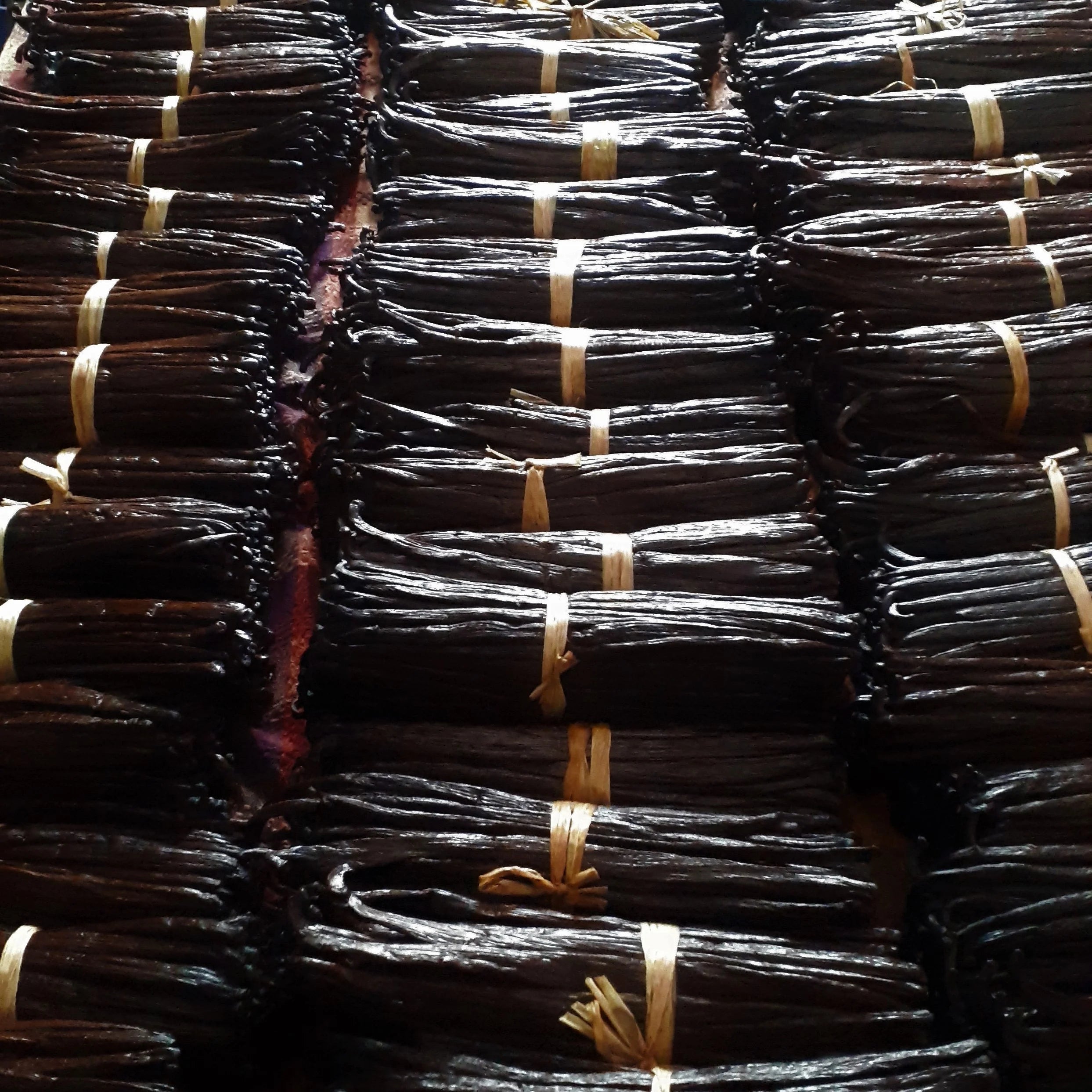 Gousses de Vanille de Madagascar - Bourbon (25g) - Colibri Vanille - Vanille - - La Guilde Culinaire