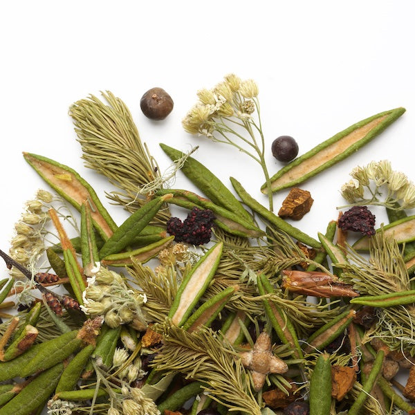 La Taïga Sauvage (sac de 20g) - Camellia Sinensis - Thé et infusion - - La Guilde Culinaire