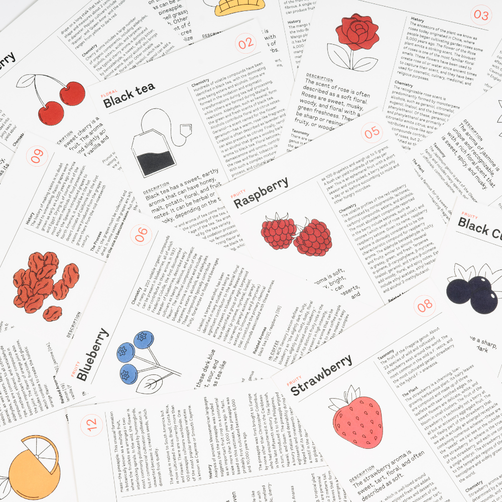 Le Nez du Café 2.0 - 60 aromas - Le Nez du Vin - Livre d'alcool et boisson - - La Guilde Culinaire